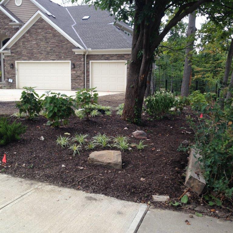 Front yard garden with mulch, small plants, a large tree, and a brick house with closed garage doors.