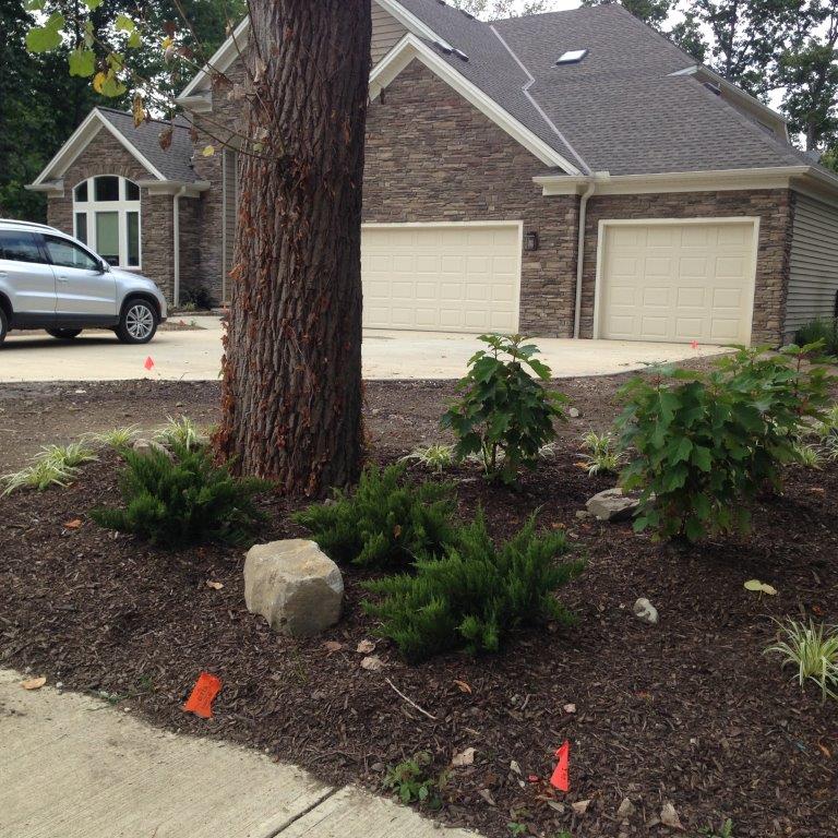 Mulched front yard with a large tree, shrubs, rocks, and a house with a two-car garage in the background