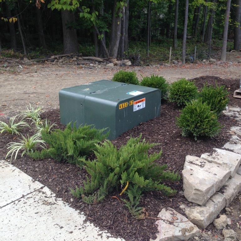 Green utility box beside low shrubs and a stone border in a wooded roadside area
