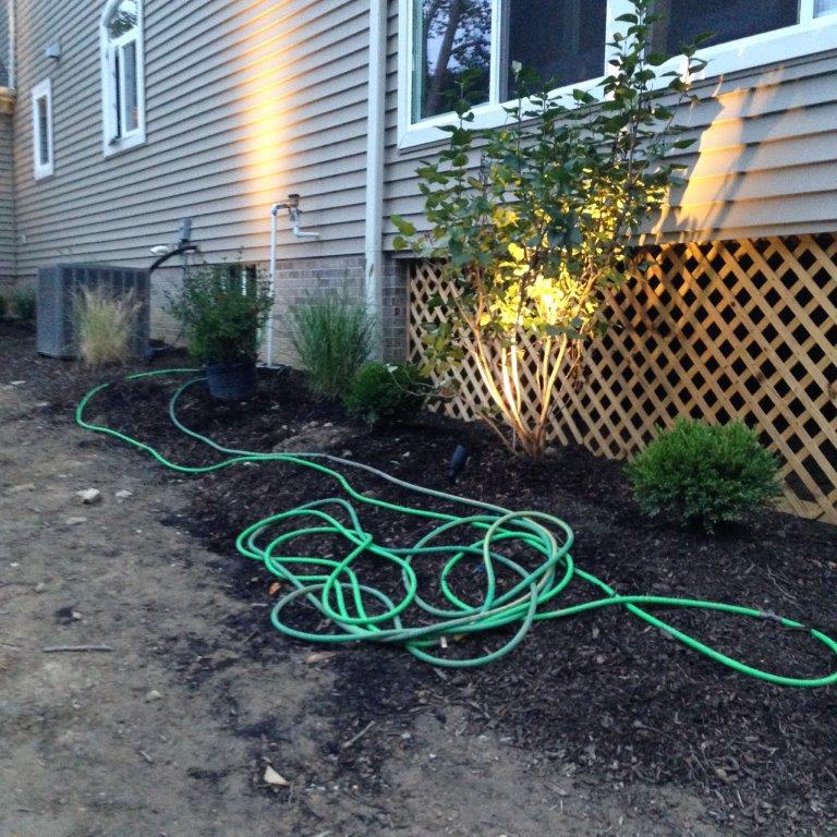 Backyard beside a house with a green garden hose tangled on bare soil and lit shrubs against siding.