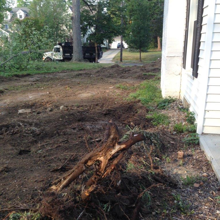 Cleared yard with uprooted tree stump and dirt, beside a white house and driveway