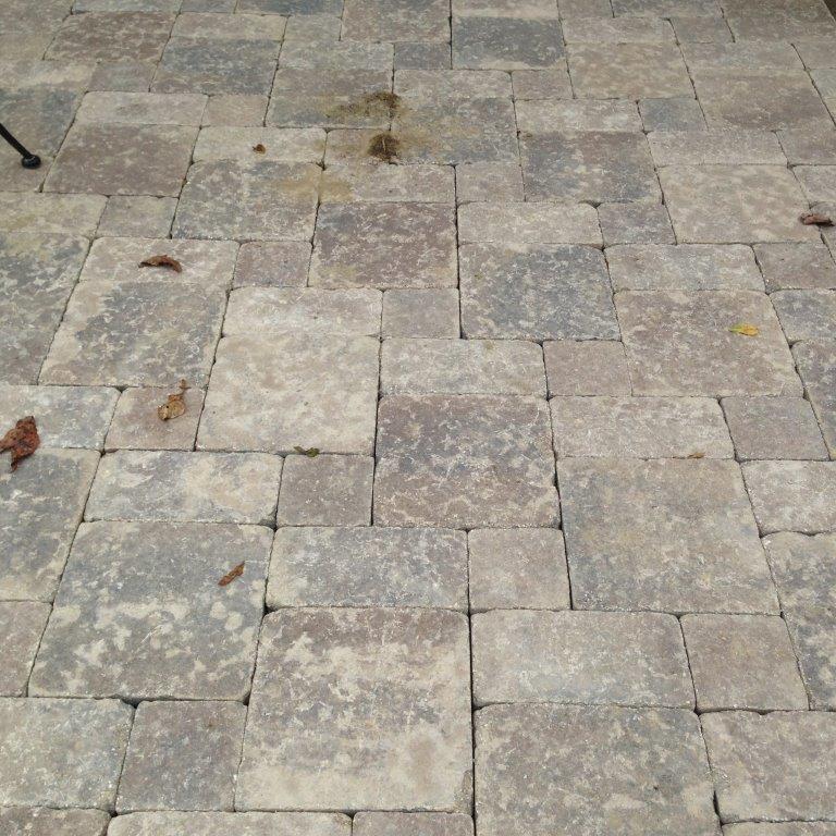 Stone patio with irregular gray paving tiles and a few scattered leaves