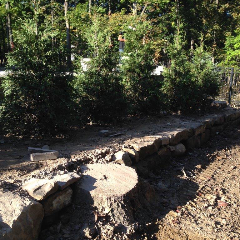 Stone retaining wall along a wooded dirt path in bright daylight