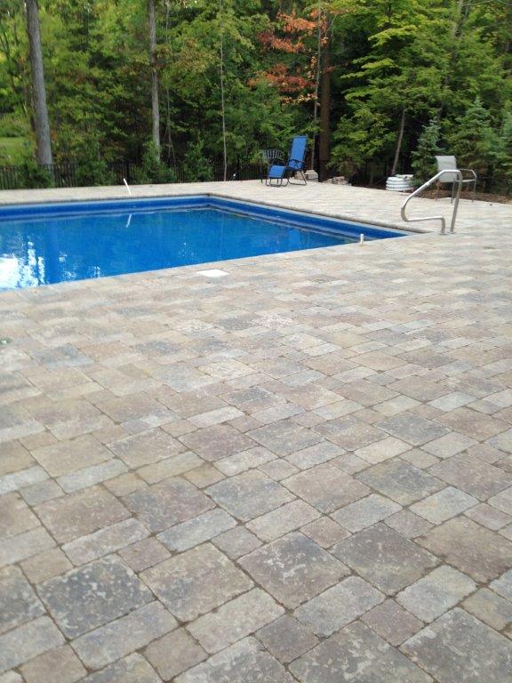Backyard pool with stone patio and lounge chairs, bordered by trees and greenery