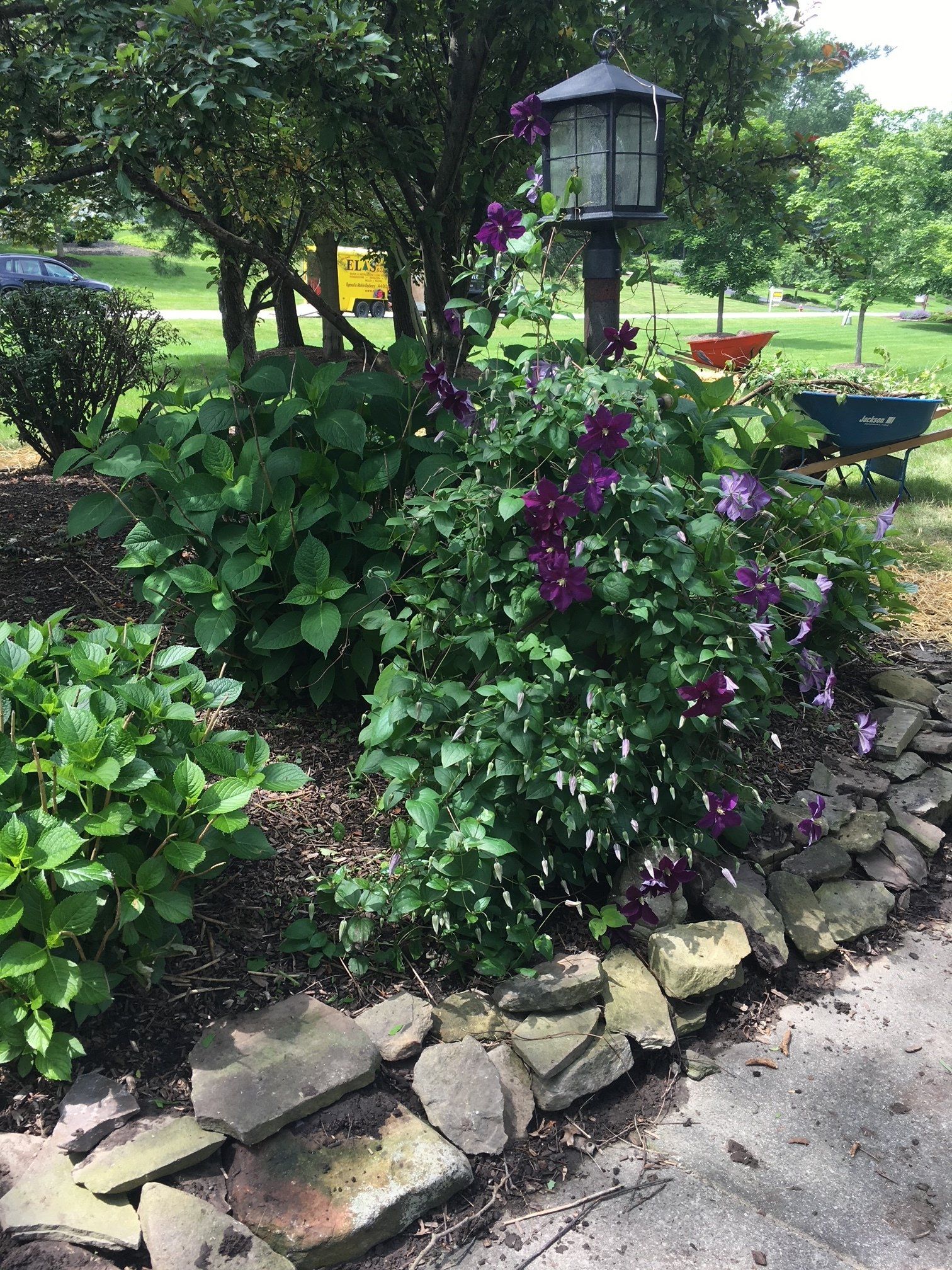 Garden bed with purple flowers, a lantern post, and a stone border beside a path