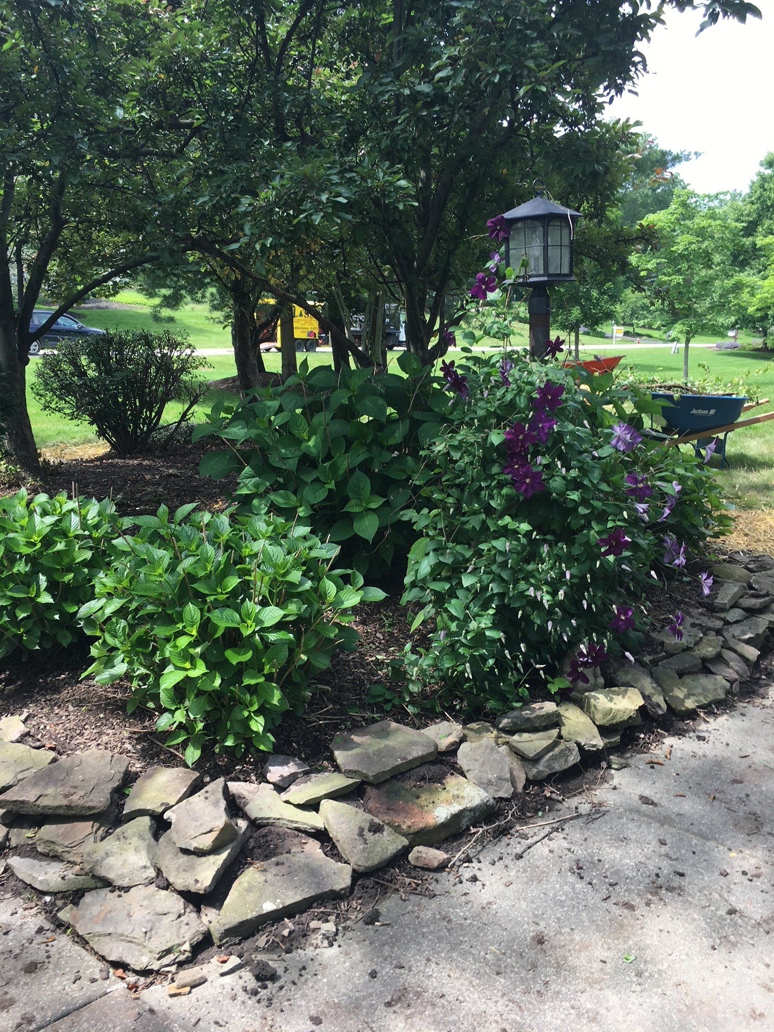 Garden bed with green shrubs, purple flowers, and a lantern bordered by stacked stones beside a path