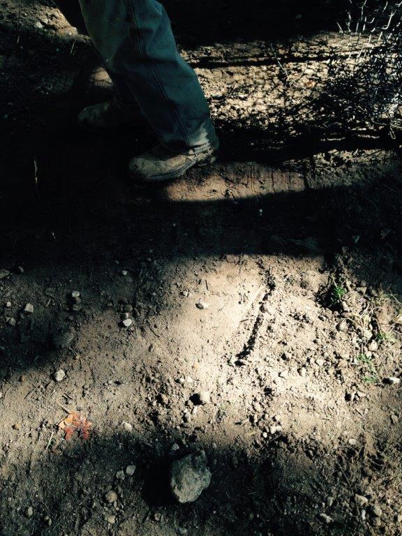 Shoes standing on a dirt path with sunlight and shadows