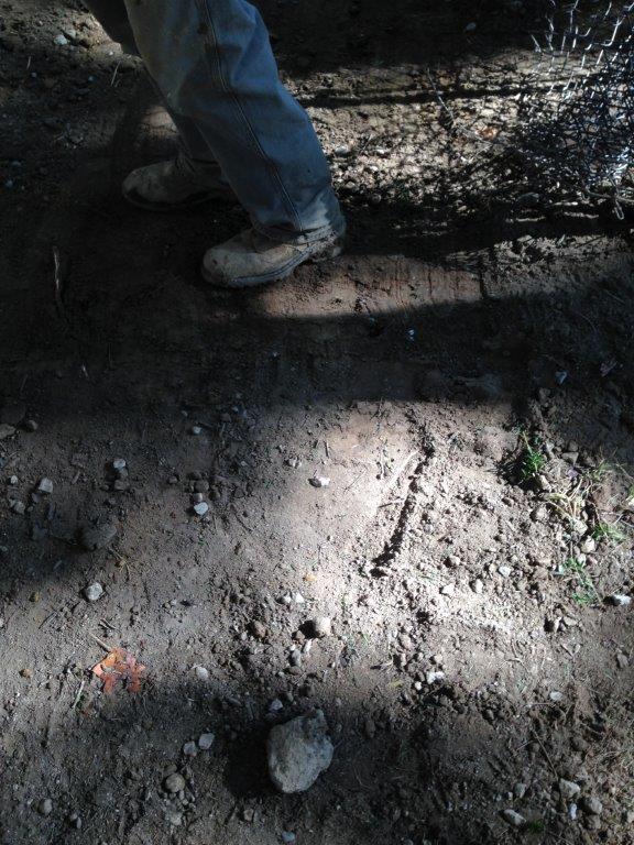 Person’s legs and boots standing on a muddy dirt path in dappled sunlight