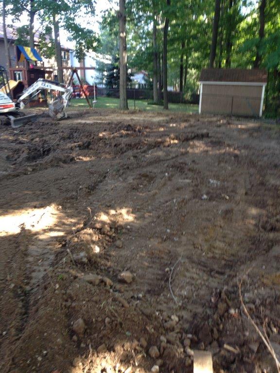 Muddy, uneven ground in a wooded park with trees and a small shed in the background.