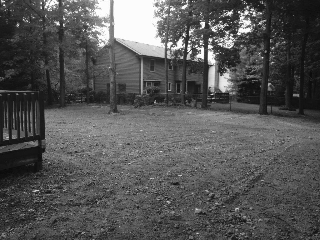 Black-and-white view of a cabin in a wooded yard with a deck and trees surrounding it