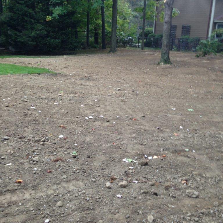 Bare dirt lot with scattered debris, bordered by trees and a building in the background
