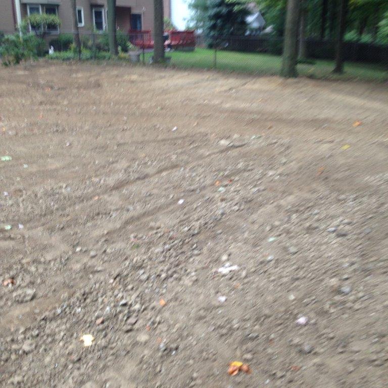 Bare dirt lot with scattered leaves and blurred trees in the background