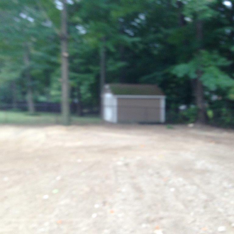 Blurred view of a small white shed in a dirt clearing surrounded by trees