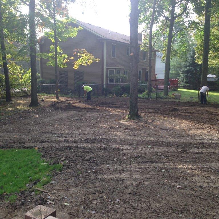 Workers clearing a wooded yard beside a house, with tree stumps and bare dirt.
