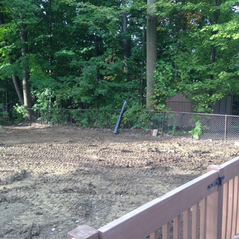 Cleared dirt yard beside a wooded fence line, with a wooden deck railing in the foreground.