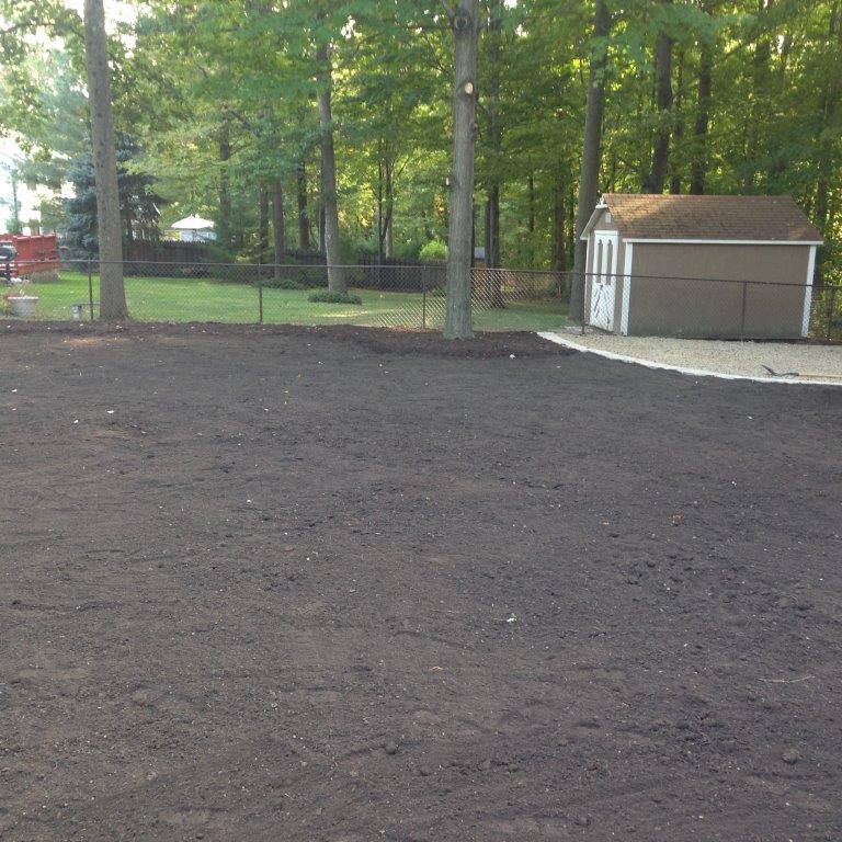 Freshly graded dark soil in a wooded yard beside a tan shed and concrete driveway.