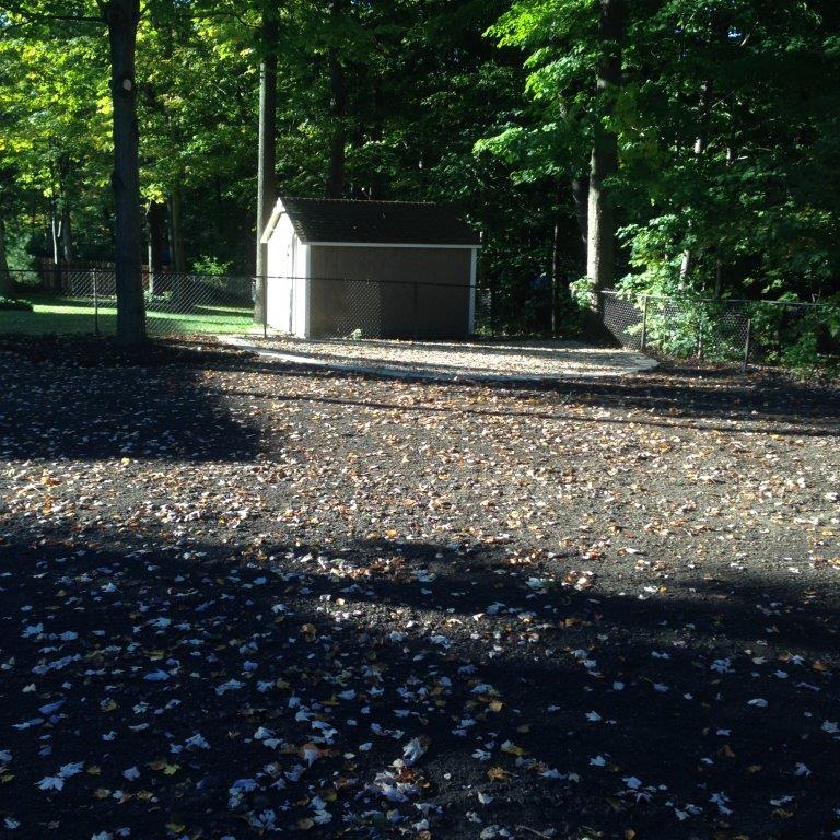 Small shed in a sunlit wooded park with a leaf-covered ground