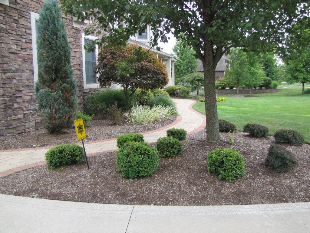 Landscaped garden with shrubs and a curved walkway beside a brick building