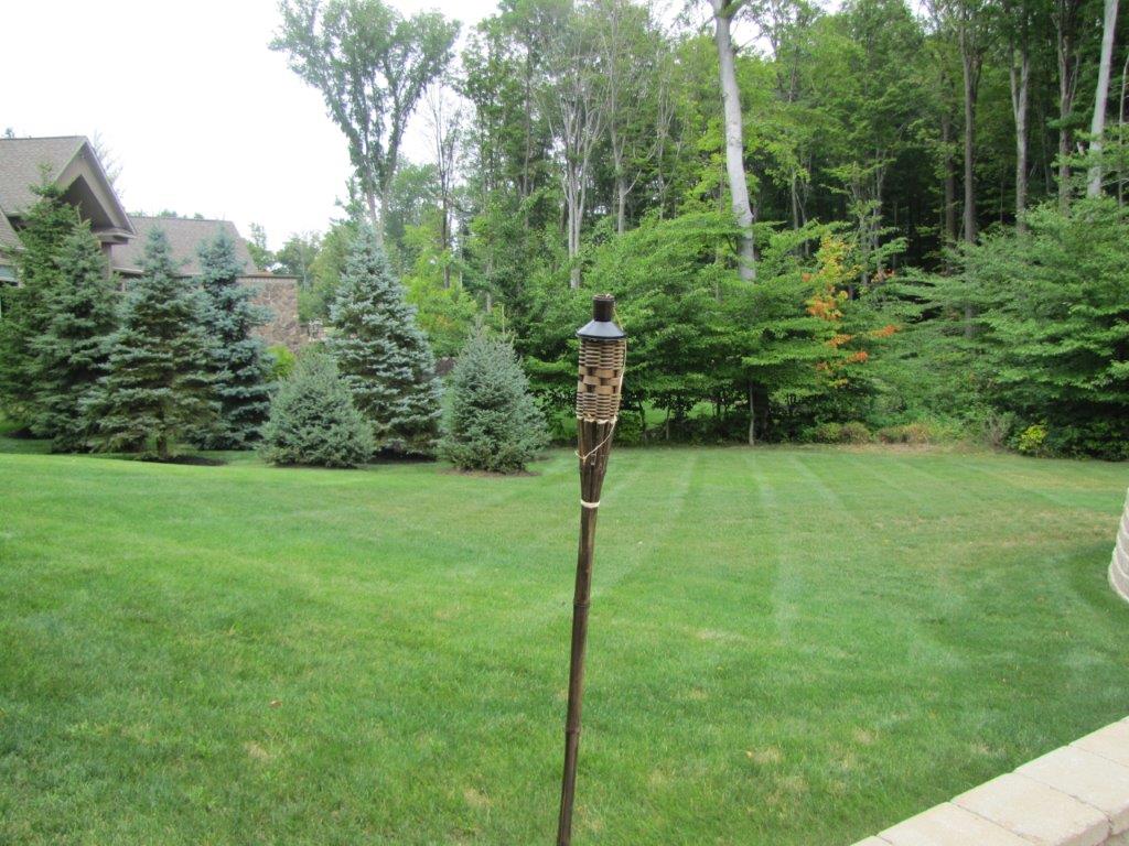 Backyard lawn with trees and a tiki torch in the center