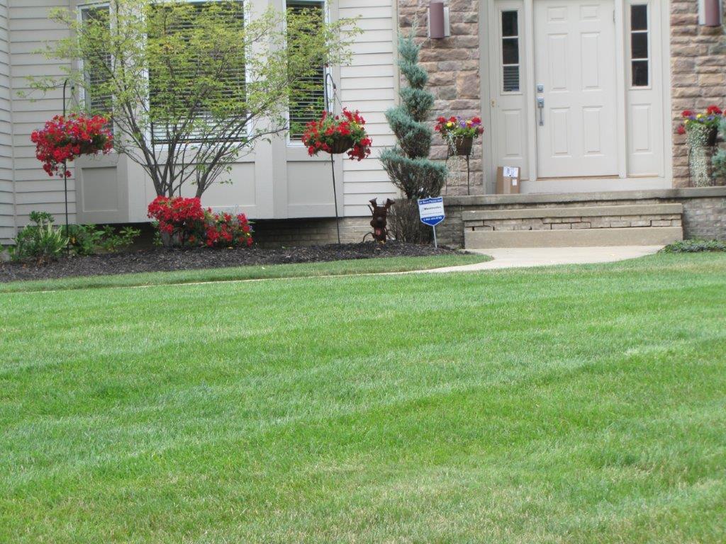 Front lawn with a white house, porch steps, and red hanging flower baskets along the foundation.