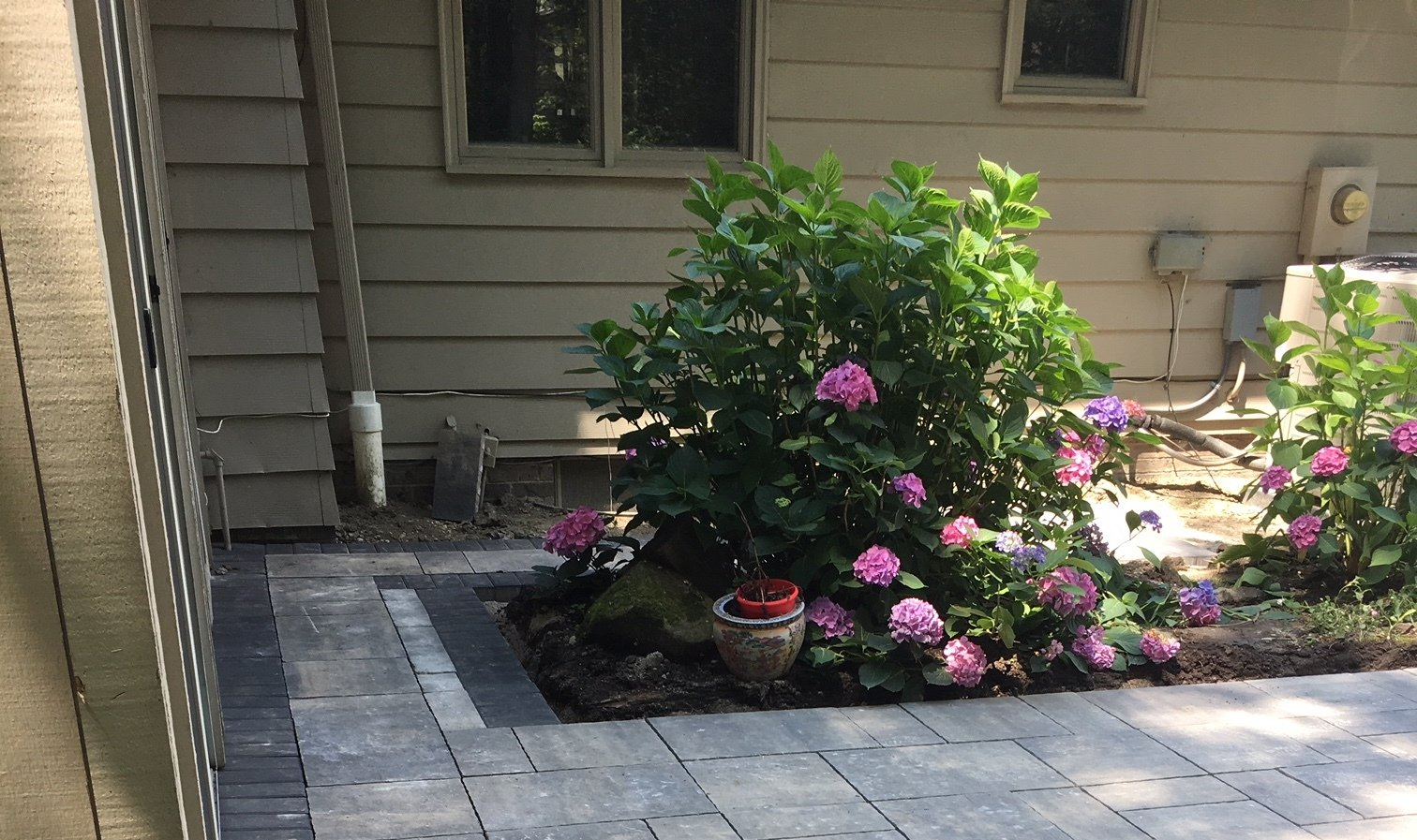 Patio with gray pavers, a potted plant, and pink flowering bush beside a house.