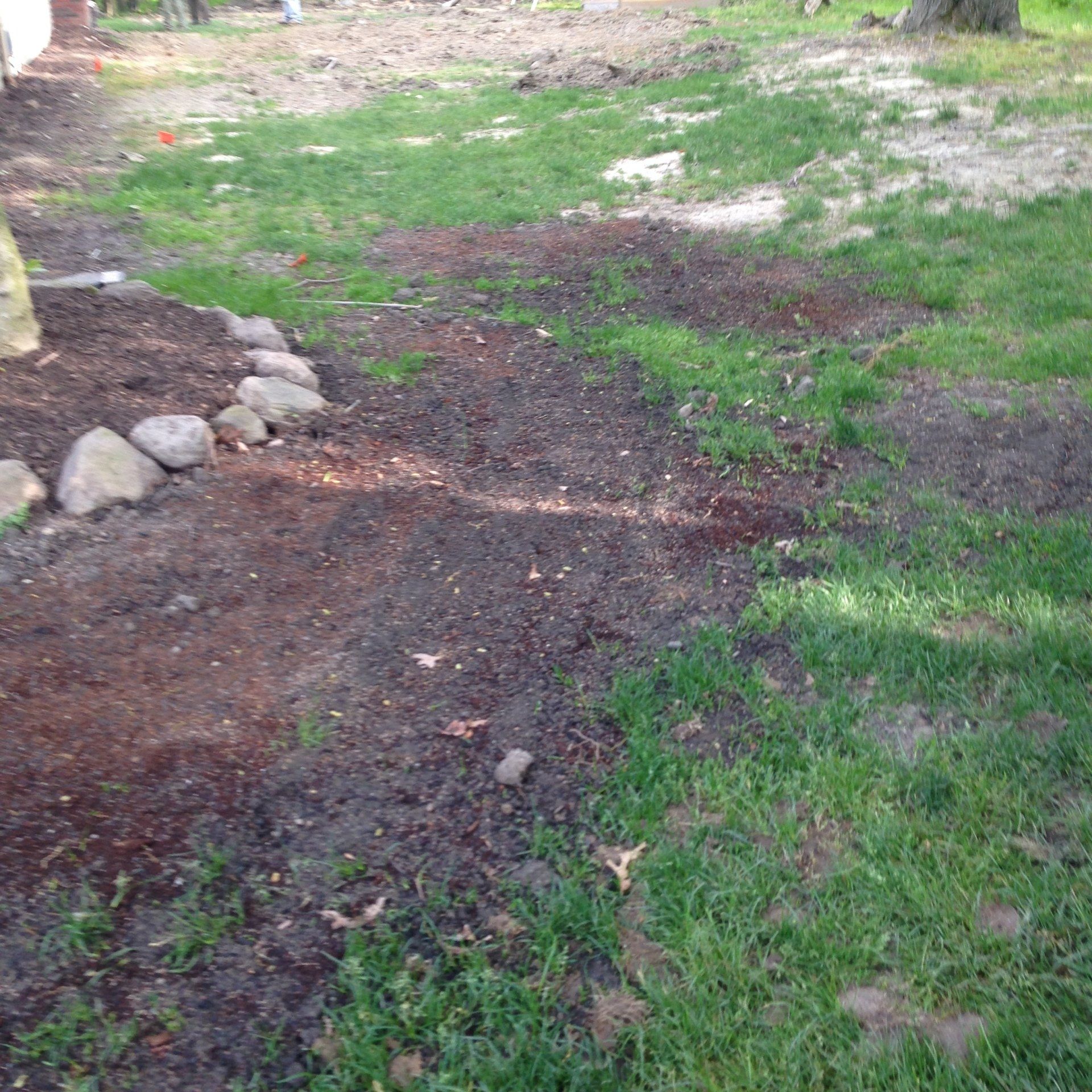 Narrow dirt path through a grassy yard with rocks and trees on the left