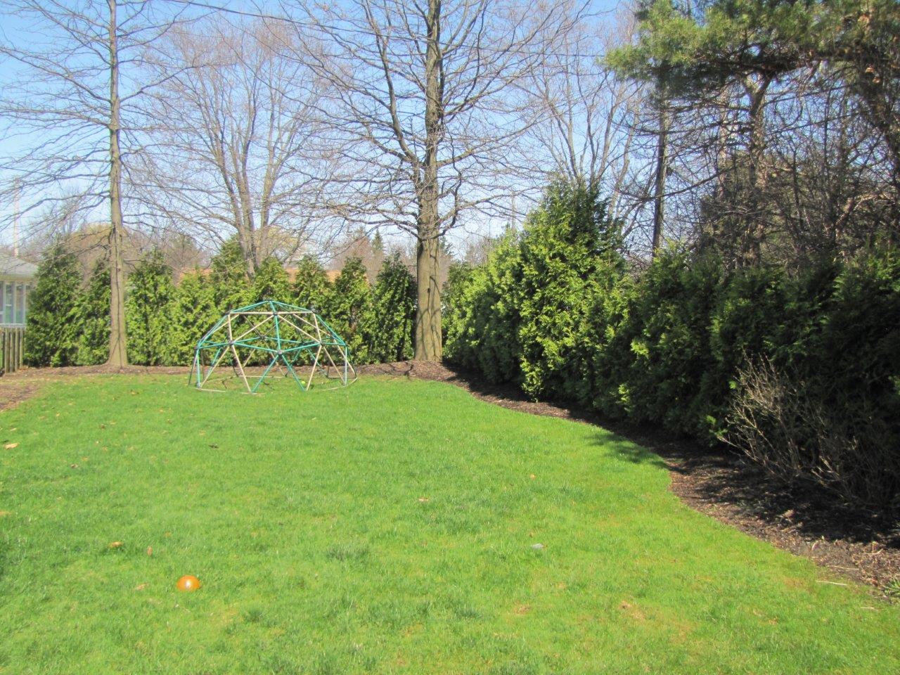 Sunny backyard with green lawn, trees, hedges, and a metal garden structure near the back fence