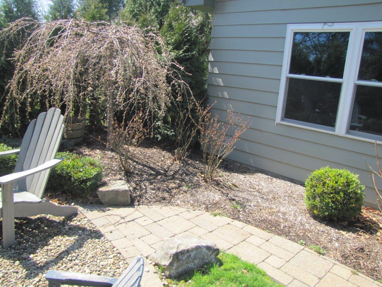 Backyard patio with stone pavers, a small tree, shrubs, and a white chair beside a house window