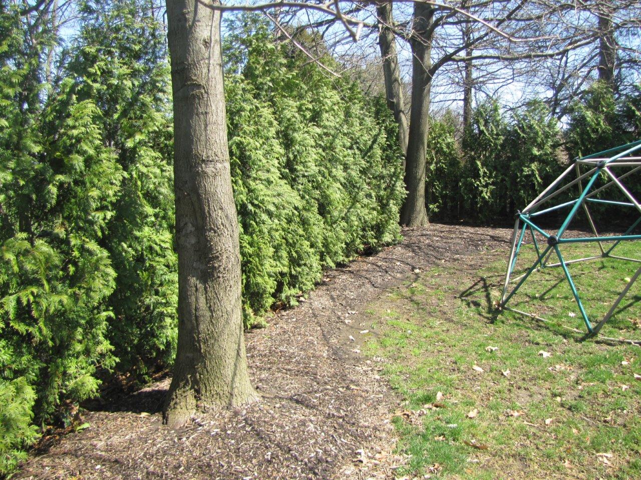 Leafy backyard with tall trees, shrubs, a dirt path, and a green metal climbing frame on the right.