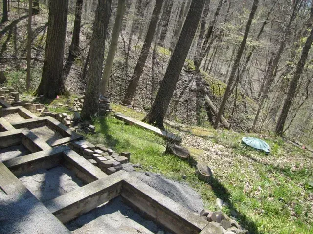 Wooden steps and beams on a grassy wooded hillside with leafless trees and scattered rocks