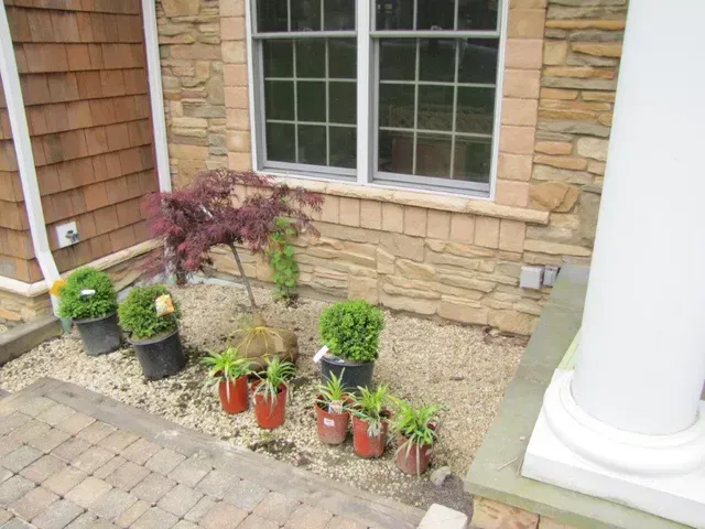 Potted plants and a small tree arranged beside a stone house wall and window.