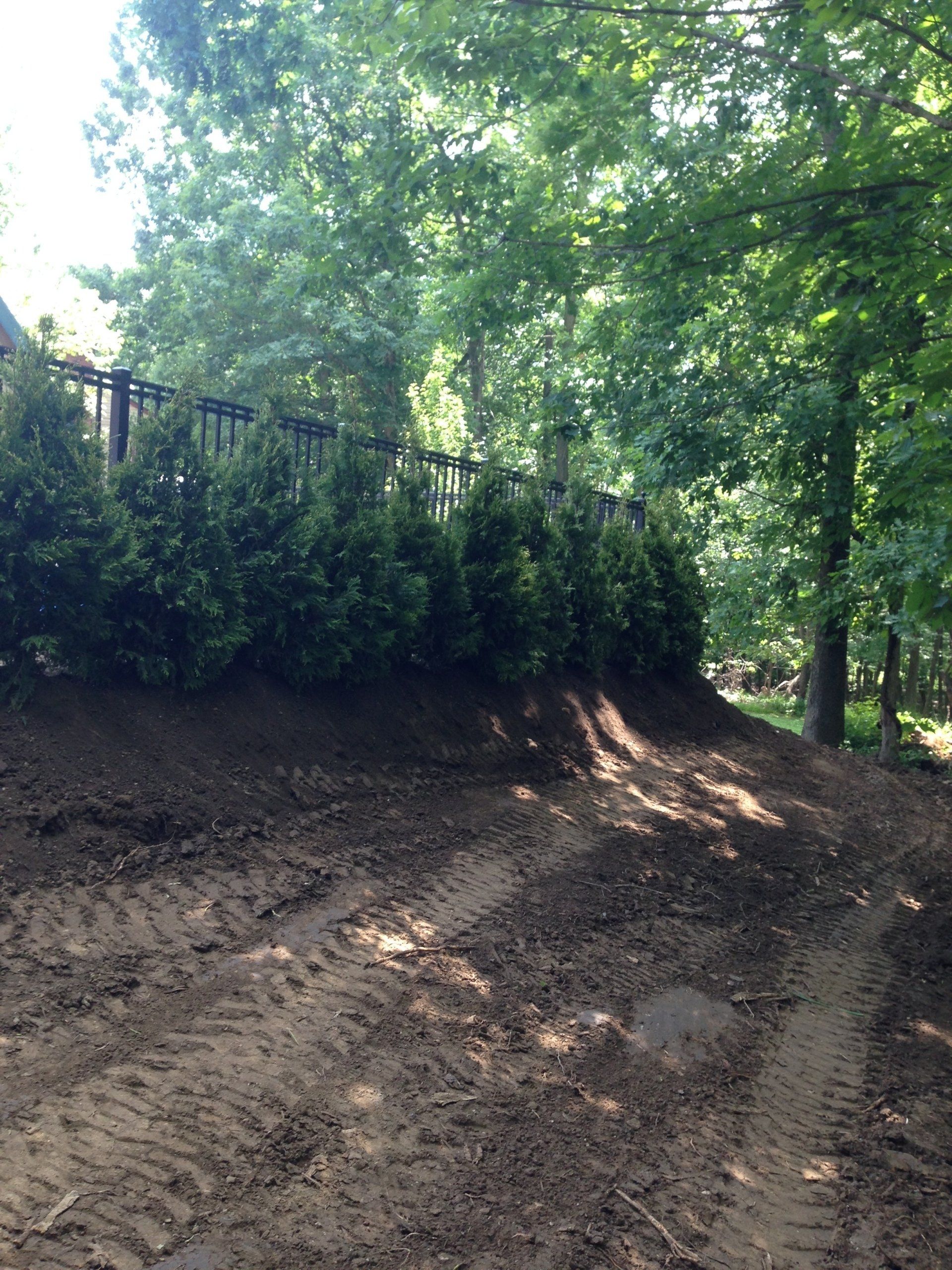 Dirt road beside a wooded embankment with trees casting shade in bright sunlight