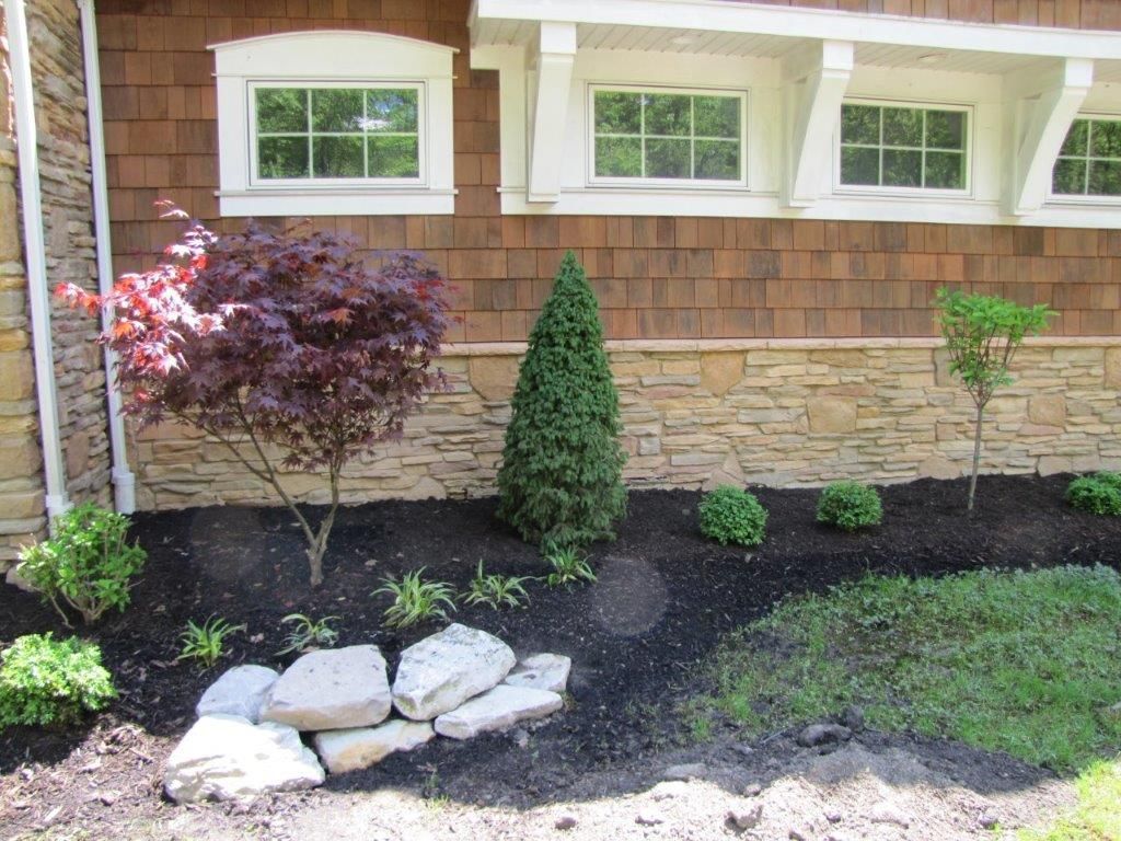 Front yard landscaping with shrubs, rocks, mulch, and windows on a house exterior