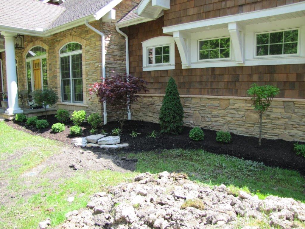 Front yard landscaping beside a brick house with shrubs, mulch, and a small tree