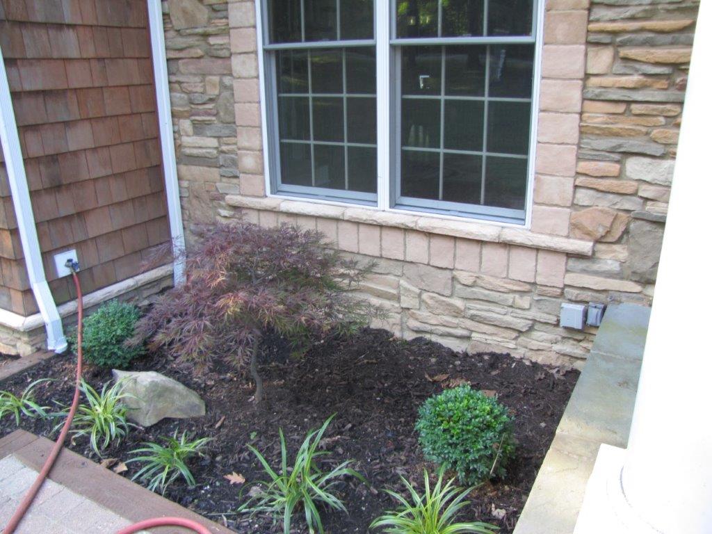 Landscaped flower bed beneath a stone house window with shrubs, mulch, and small plants