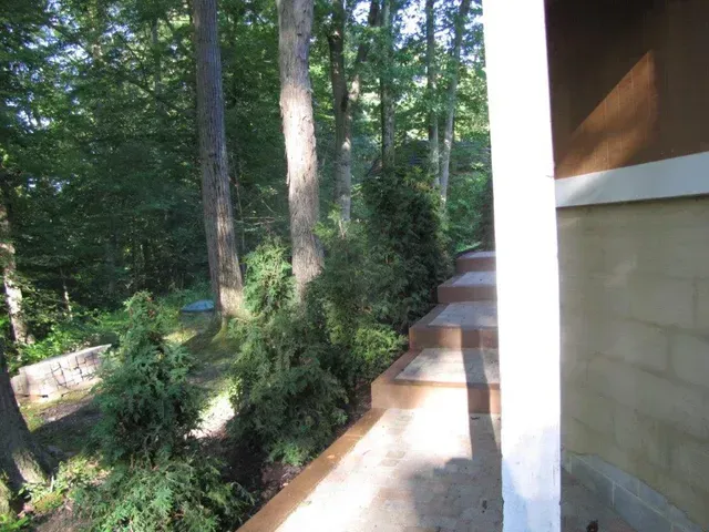 Outdoor concrete steps beside a beige house, bordered by trees and shrubs in a wooded yard.
