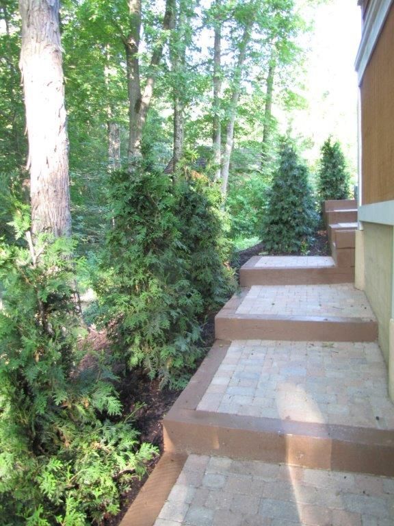 Outdoor stone steps beside a wooden house, leading through a wooded garden.