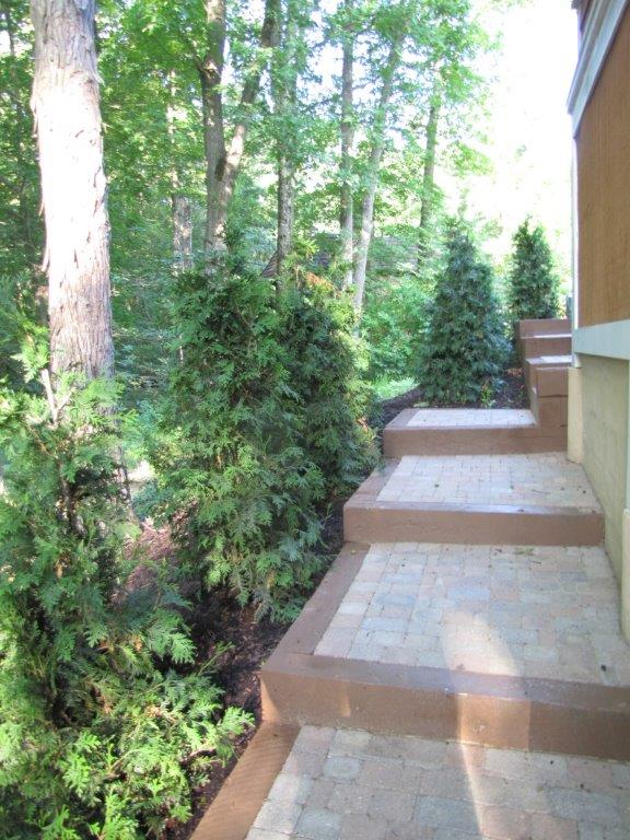 Stone steps beside a house leading through a wooded backyard with trees and shrubs