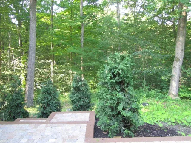 Landscaped garden with evergreen shrubs and tall trees behind a stone patio