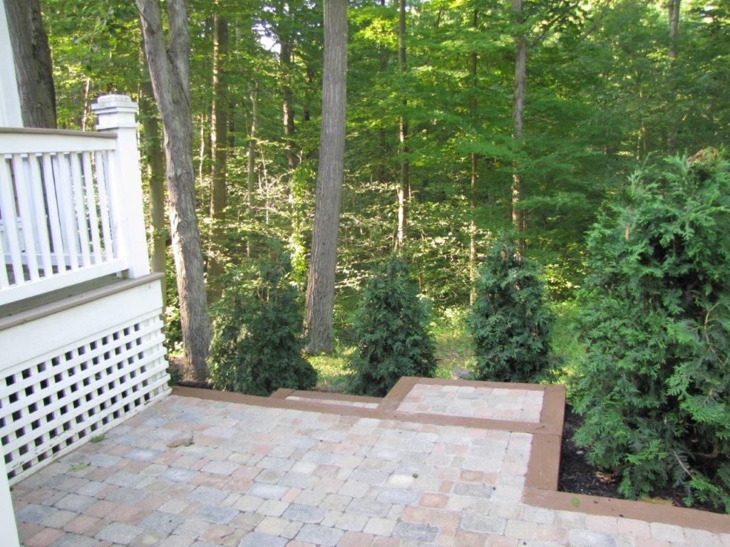 Stone patio beside white deck railing, overlooking a wooded backyard with trees and shrubs.