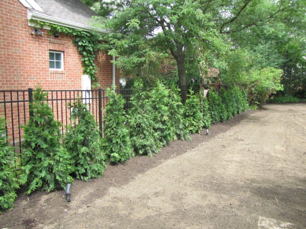 Brick house beside a gravel path, lined with green shrubs and trees.