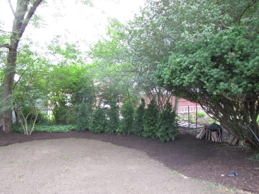 Tree-lined dirt courtyard with shrubs and a fence in the background