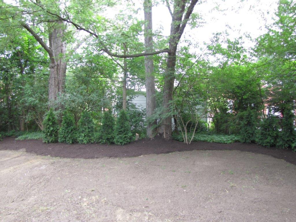 Wooded park clearing with large trees, shrubs, and a gravel path in the foreground