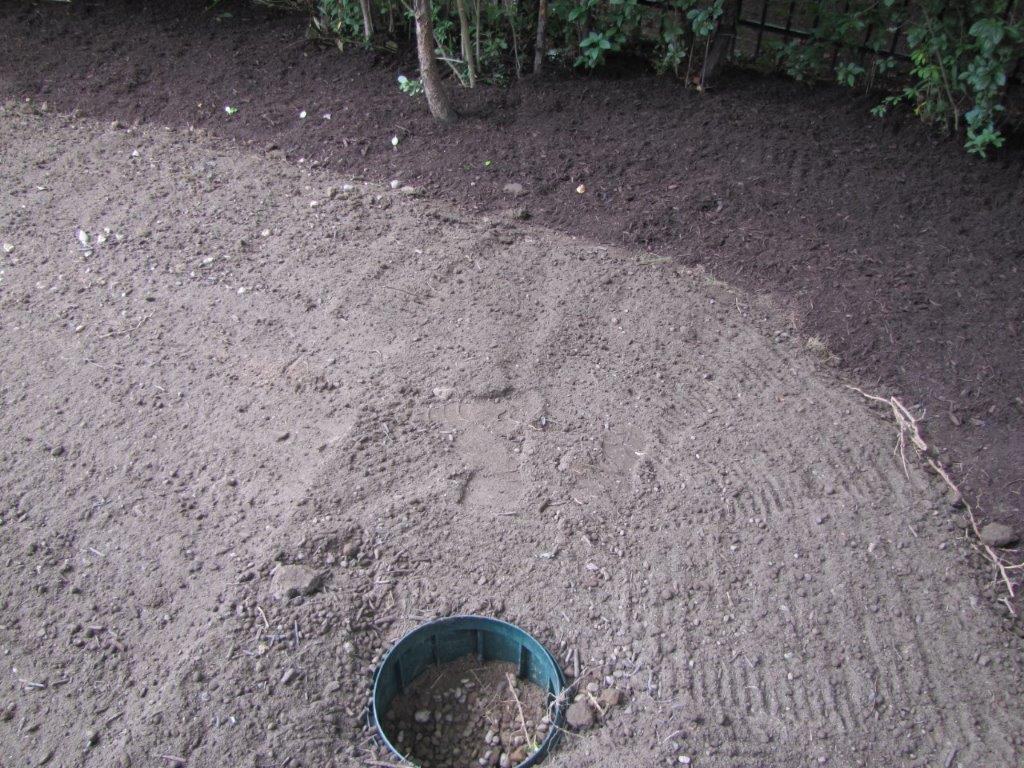 Freshly raked dirt path with a small round hole in the foreground near shrubs
