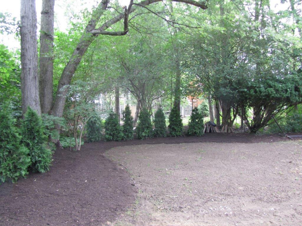 Tree-lined garden path with mulch and gravel, surrounded by shrubs and tall trees