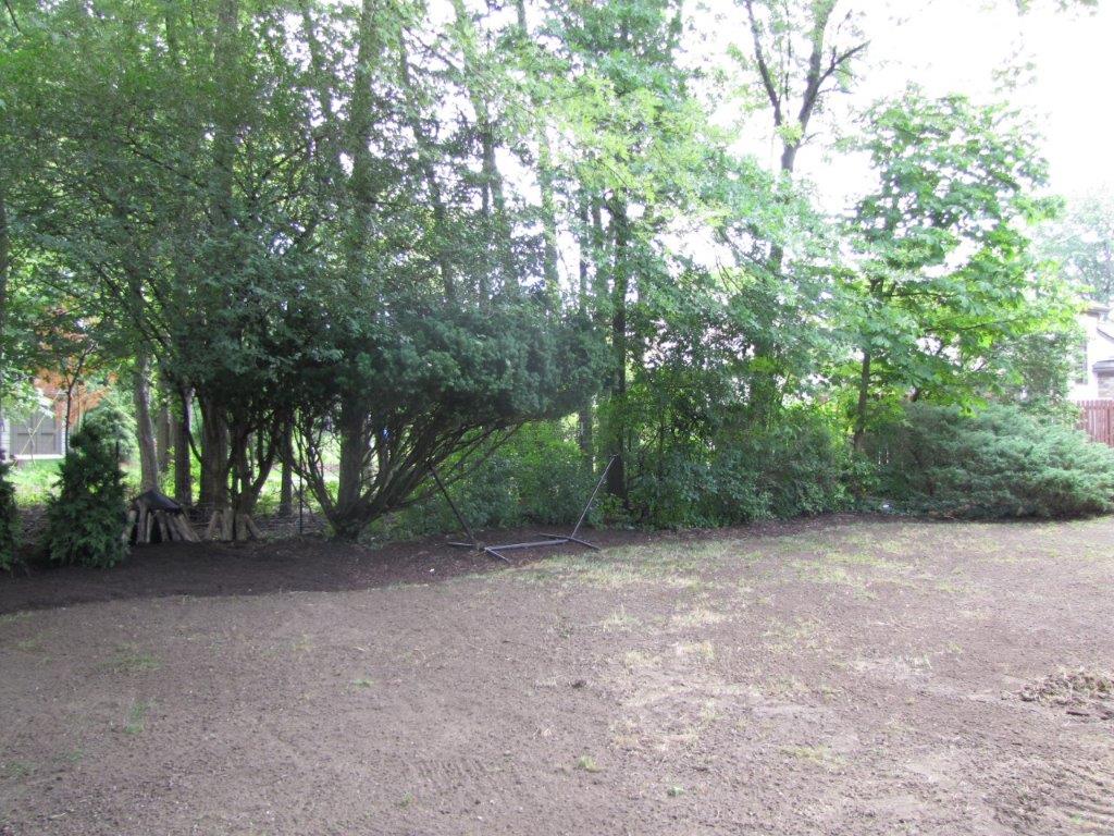 Gravel clearing bordered by dense green trees and shrubs