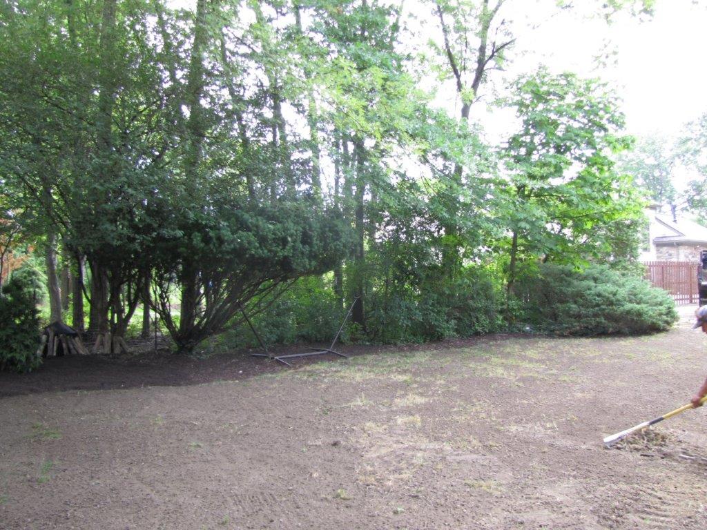 Gravel yard bordered by dense green trees and shrubs beside a brick building