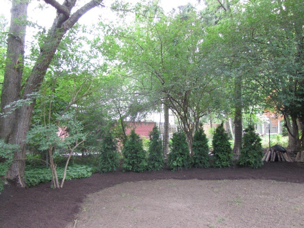Gravel backyard garden with trees, shrubs, and a small shed in the background