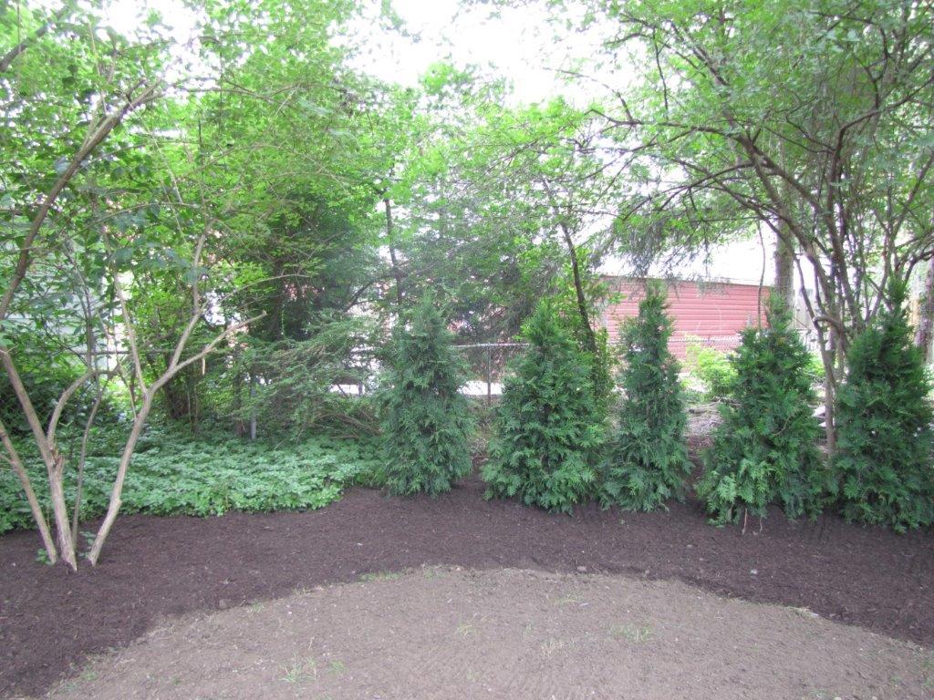Green garden with trees, shrubs, and a curved gravel path under a cloudy sky