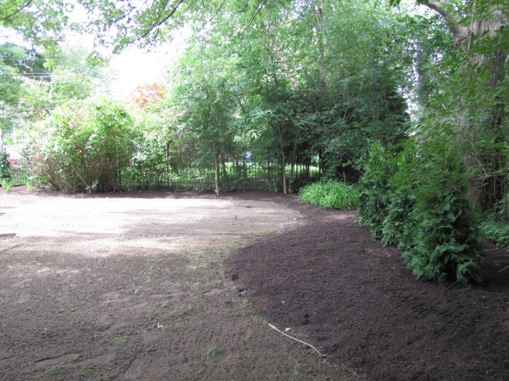 Wooded clearing with bare dirt ground and dense green trees and shrubs around the edges